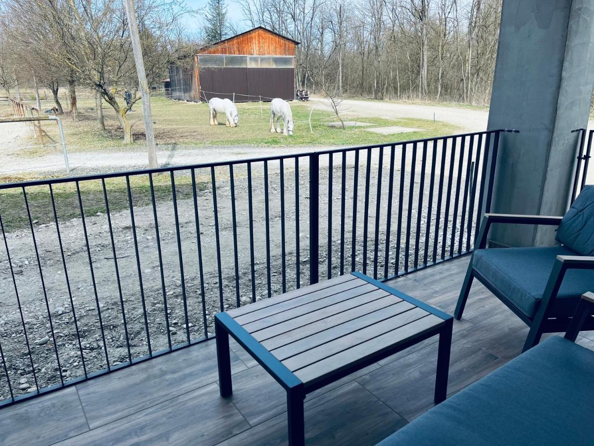 Apartment Country House Zaton Tisina Zewnętrze zdjęcie